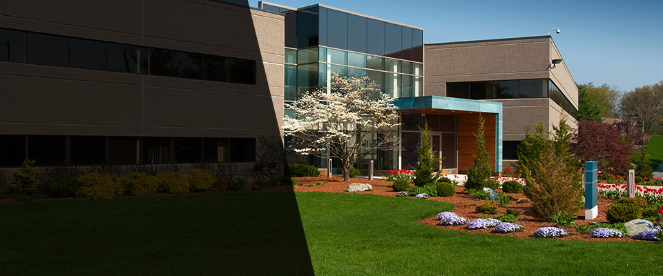 Carle Place Landscapers