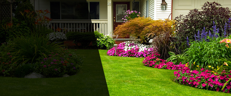 Carle Place Landscapers