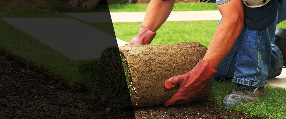 Carle Place Landscapers